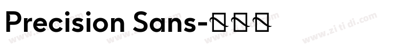 Precision Sans字体转换